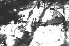Kuva-14