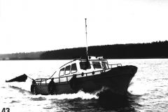 Kuva-43