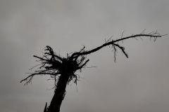 IMG_20211030_090749