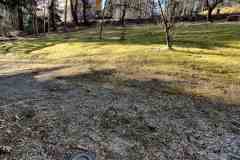IMG_20200328_103128