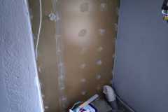 IMG_20200809_062454